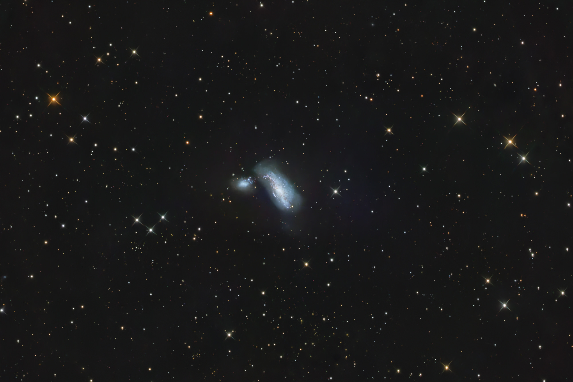The Cocoon Galaxy ARP269  is an interacting galaxy pair with active star formation regions. The two galaxies are connected by a tidal arm. The center of NGC4490 consists of two separate structures - presumably as a result of a collision of two smaller star clusters. The pair of galaxies is surrounded by diffuse star clouds.